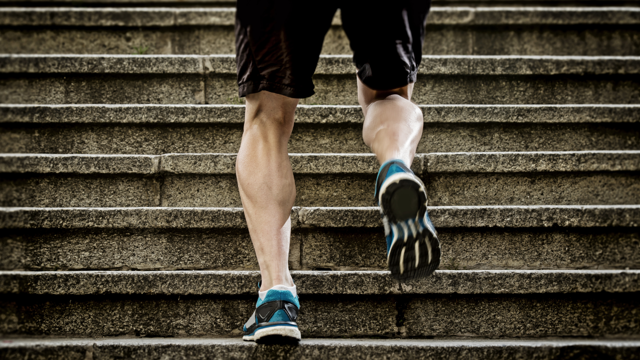 Course à pied et musculation, la méthode hybride pour combiner les deux  sans perdre de muscle.